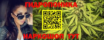 ешки Тула